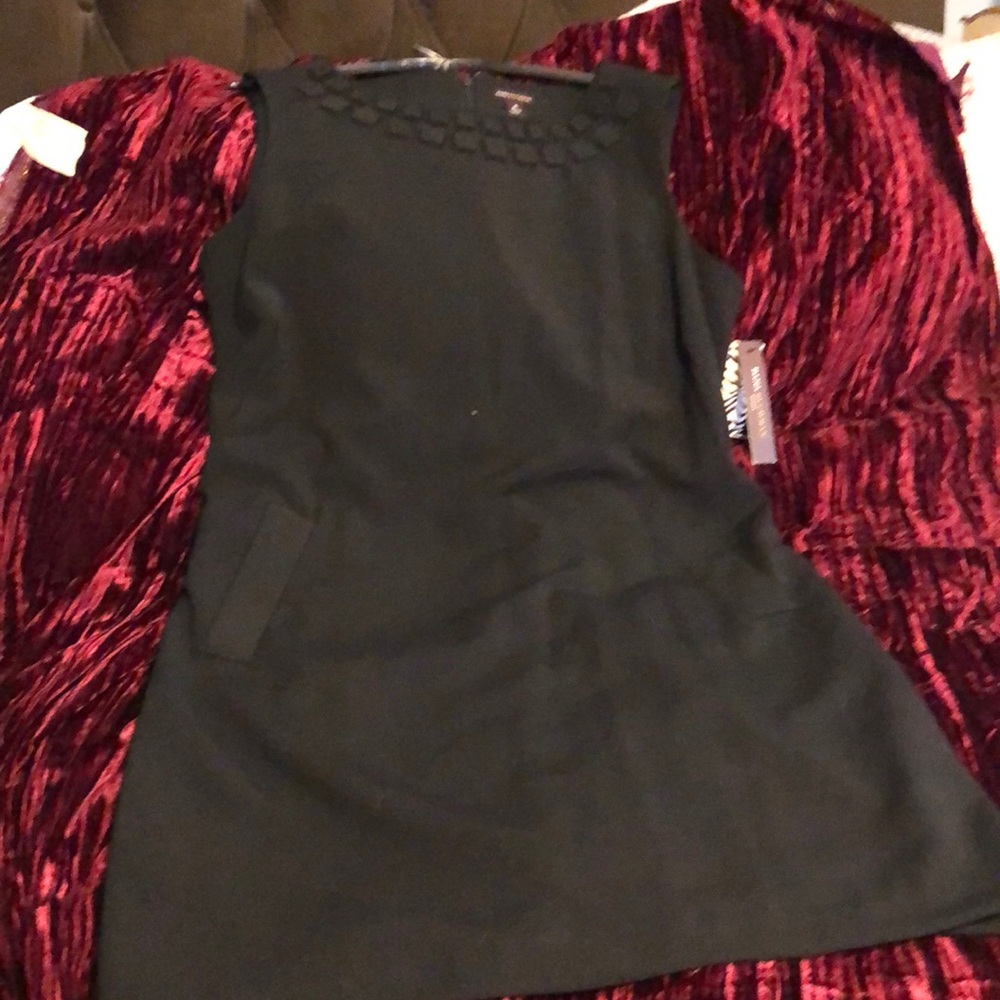Dana Buchman black lined dressy dress size 16 with neck ornan. And pockets .